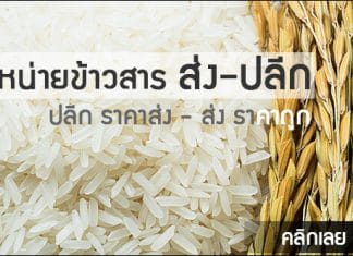 จำหน่ายข้าวสาร ส่ง-ปลีก ข้าวสาร-จำหน่ายปลีกส่ง-3