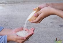 บริจาคข้าวสารที่ไหนดี? 9 ที่ใกล้กรุง ไปง่าย ทำง่าย ได้บุญ อัพเดท2020