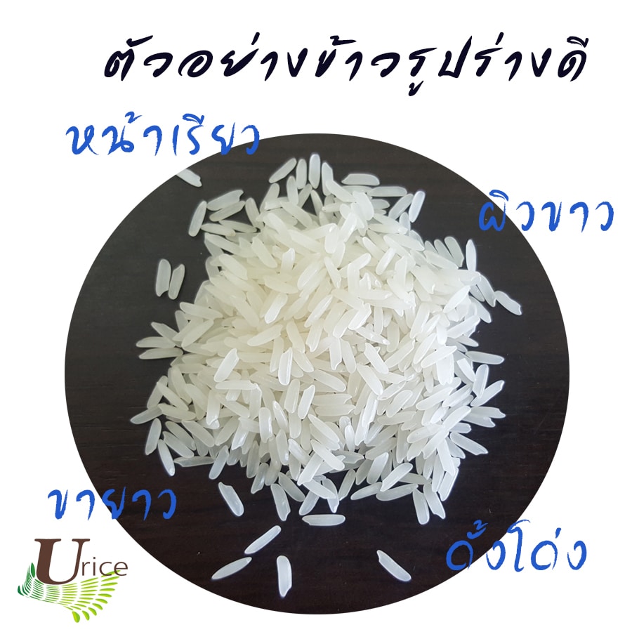 My Image 25