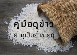 วิธีเลือกซื้อข้าวสารง่ายๆ ใครๆก็ทำได้