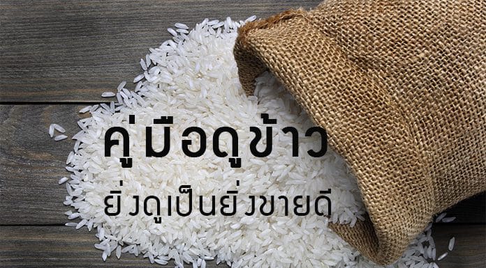 วิธีเลือกซื้อข้าวสารง่ายๆ ใครๆก็ทำได้