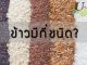 ข้าวมีกี่ชนิด?