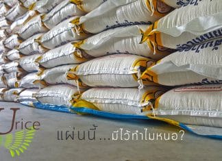 แผ่นรองข้าวนี้มีไว้ทำไมหนอ?
