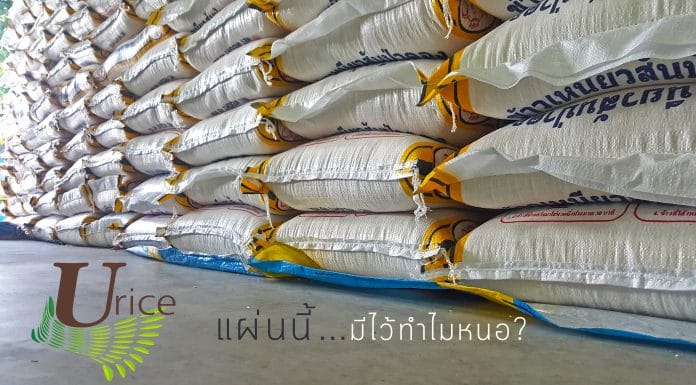 แผ่นรองข้าวนี้มีไว้ทำไมหนอ?