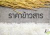 ราคาข้าวสาร ขายปลีก-ราคาส่ง วันนี้ (อัพเดทล่าสุด) ราคาข้าวสารขายส่ง-ราคาข้าวสารขายปลีกวันนี้