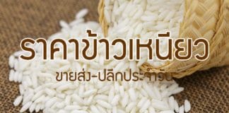 ราคาข้าวเหนียว ขายส่ง-ขายปลีก (อัพเดทล่าสุด) ราคาข้าวเหนียว-ขายส่ง-ขายปลีก
