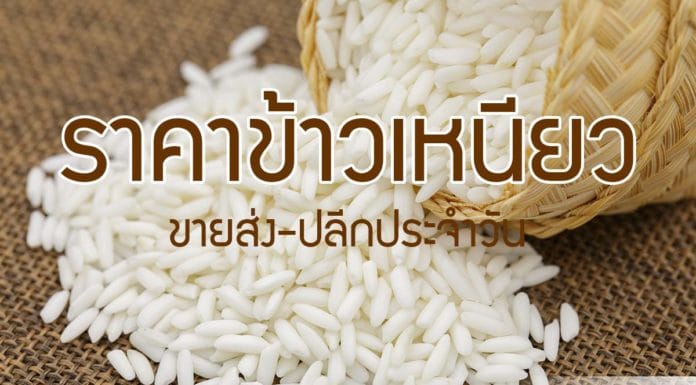 ราคาข้าวเหนียว ขายส่ง-ขายปลีก (อัพเดทล่าสุด) ราคาข้าวเหนียว-ขายส่ง-ขายปลีก