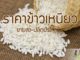 ราคาข้าวเหนียว ขายส่ง-ขายปลีก (อัพเดทล่าสุด) ราคาข้าวเหนียว-ขายส่ง-ขายปลีก