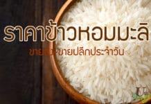 ราคาข้าวหอมมะลิวันนี้ (อัพเดทล่าสุด) ราคาข้าวหอมมะลิ