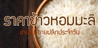 ราคาข้าวหอมมะลิวันนี้ (อัพเดทล่าสุด) ราคาข้าวหอมมะลิ