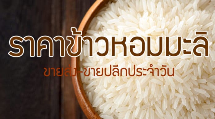 ราคาข้าวหอมมะลิวันนี้ (อัพเดทล่าสุด) ราคาข้าวหอมมะลิ