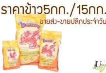 ราคาข้าวสาร 5 กก./ 15 กก. (1ถัง)/ ข้าวสารกิโลละ (อัพเดทล่าสุด) ราคาข้าวสาร5กก15กก.กิโลละ