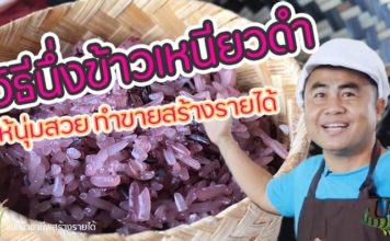 วิธีนึ่งข้าวเหนียวดําให้นุ่มสวย น่ากิน พร้อมทำขายสร้างรายได้ วิธีนึ่งข้าวเหนียวดำให้นุ่มสร้างรายได้