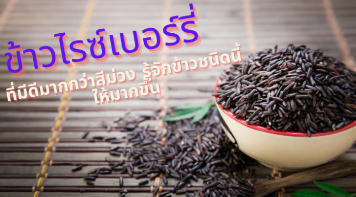 ข้าวไรซ์เบอร์รี่ ที่มีดีมากกว่าสีม่วง รู้จักข้าวชนิดนี้ให้มากขึ้น ข้าวไรซ์เบอร์รี่