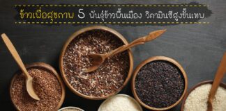 ข้าวเพื่อสุขภาพ 5 พันธุ์ข้าวพื้นเมือง วิตามินซีสูง คุณประโยชน์ขั้นเทพ