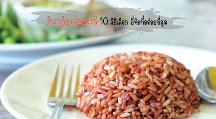 ข้าวกล้อง สายพันธุ์หอมมะลิ 10 วิธีเลือก ยี่ห้อที่อร่อยที่สุด