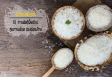 ข้าวหอมมะลิ 10 สายพันธุ์พื้นเมือง คุณภาพเยี่ยม ของดีของไทย