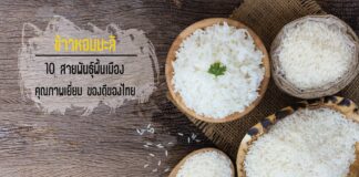 ข้าวหอมมะลิ 10 สายพันธุ์พื้นเมือง คุณภาพเยี่ยม ของดีของไทย