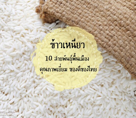 My Image 28