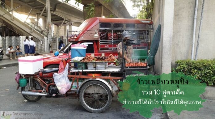 ข้าวเหนียวหมูปิ้ง รวม 10 สูตรเด็ด ทำขายก็ได้กำไร ทำกินก็ได้คุณภาพ