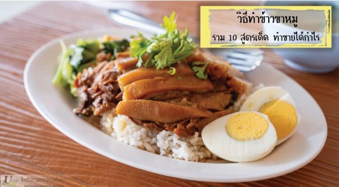 วิธีทำข้าวขาหมู รวม 10 สูตรเด็ดเรียกลูกค้า ที่ทำขายได้กำไรงาม
